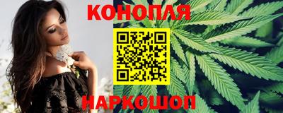стафф Будённовск