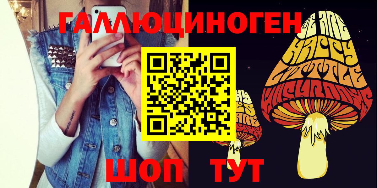 Курчатов  Псилоцибиновые грибы MAGIC MUSHROOMS  Вход с VPN 